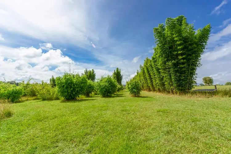 Seventh view of Homely rural property listing, 400 Centenary Drive, Clarenza NSW 2460