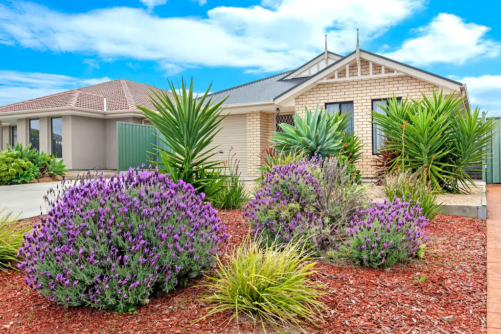 Main view of Homely house listing, 169 ROWLEY ROAD, Aldinga Beach SA 5173