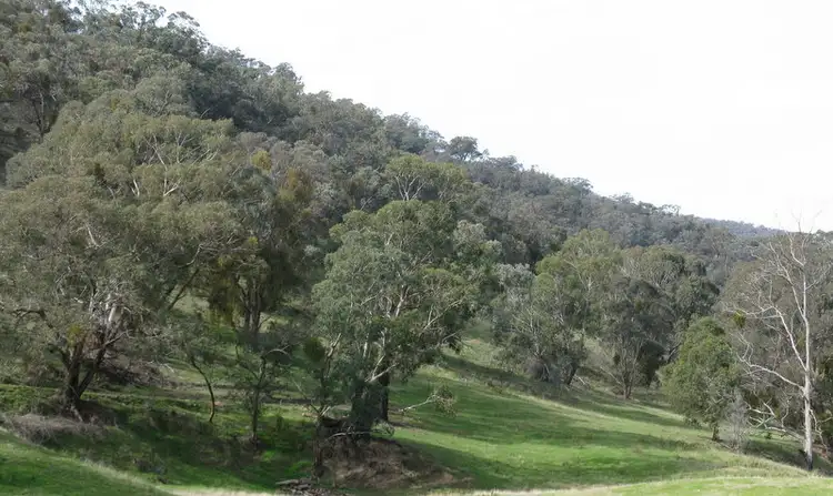Third view of Homely rural property listing, 1466 Cassilis Road, Cassilis VIC 3898