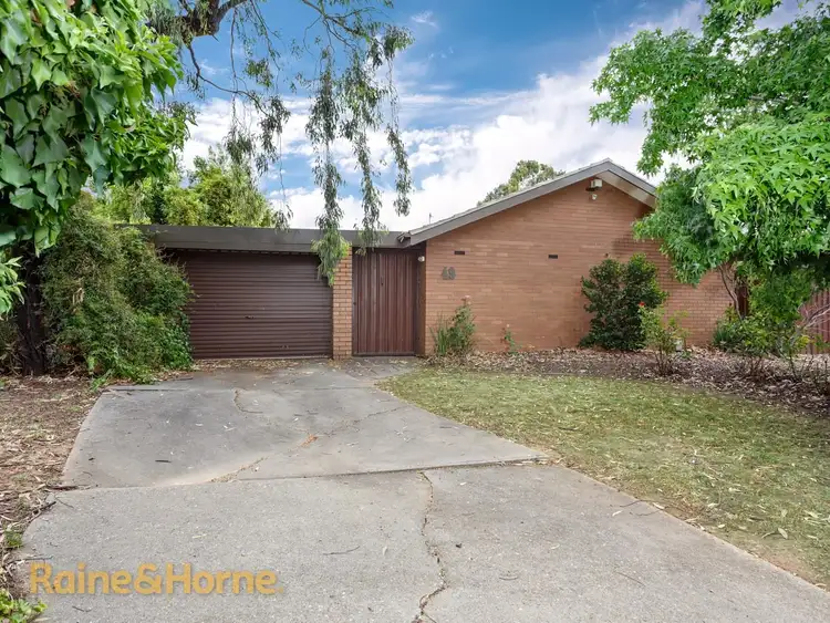 Main view of Homely house listing, 49 Jasmin Crescent, Lake Albert NSW 2650
