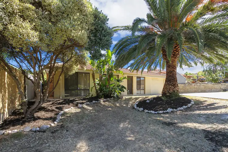 Second view of Homely house listing, 3 Orchid Court, Clarkson WA 6030