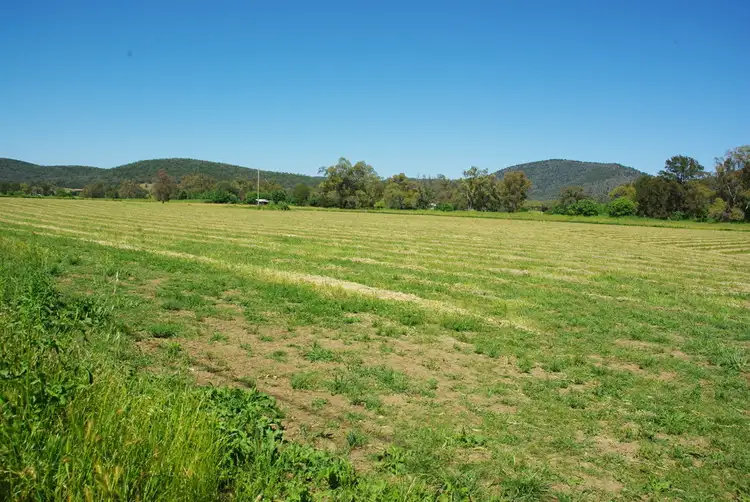 Fourth view of Homely rural property listing, 1 Maxwell Street, Wellington NSW 2820
