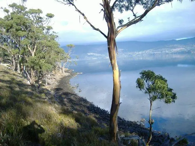 Sixth view of Homely land listing, 30 Youngs Road, Bruny Island TAS 7150