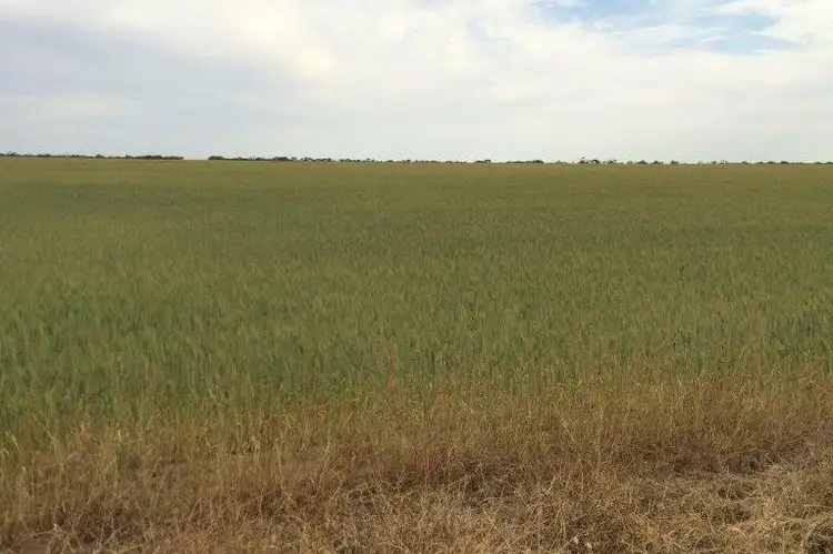 Fifth view of Homely rural property listing, 'Orchards' Kalannie-Kulja Road, Kalannie WA 6468
