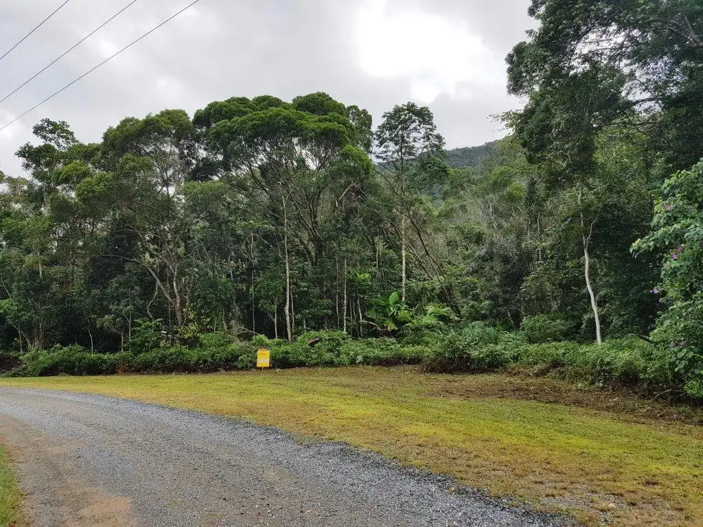 Main view of Homely land listing, 11 Thornton Peak Drive, Daintree QLD 4873