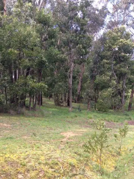 Third view of Homely land listing, Lot 110 Dales Creek Avenue, Dales Creek VIC 3341