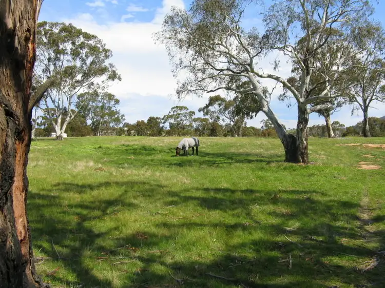 9 Park Street, Omeo VIC 3898