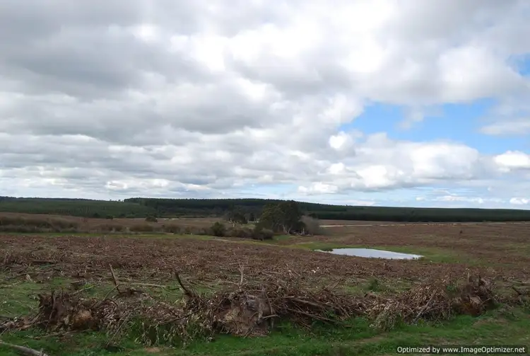 Fourth view of Homely rural property listing, 0 Stockdale - Fernbank Road, Stockdale VIC 3862