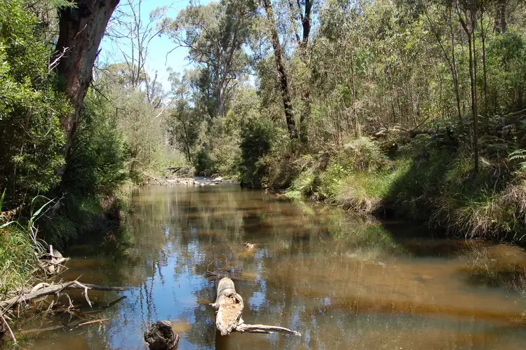 Seventh view of Homely land listing, 2593 Whittlesea Yea Road, Flowerdale VIC 3717