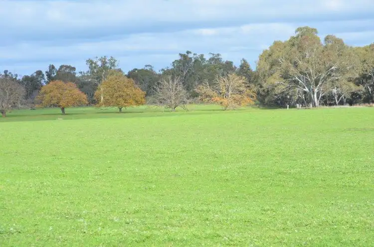Seventh view of Homely rural property listing, 1495 Wimmera Highway, Apsley VIC 3319
