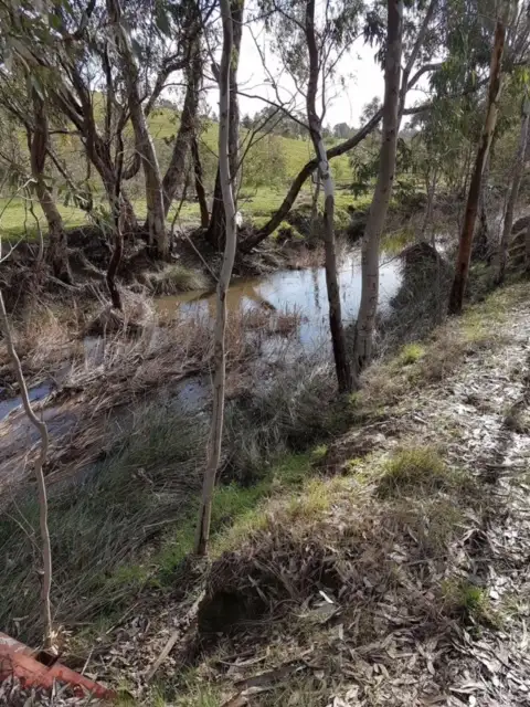 Sixth view of Homely land listing, Lot 1, CA 3 Sutton Grange Road, Sedgwick VIC 3551