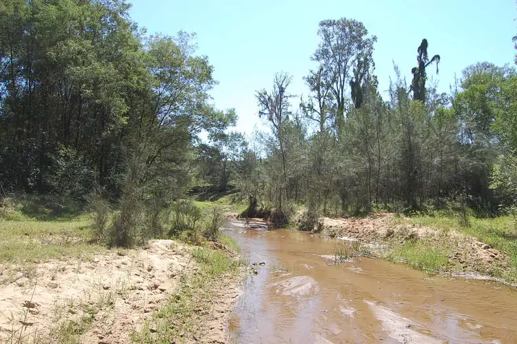 Seventh view of Homely rural property listing, Hogarth Range Rd, MONGOGARIE via, Casino NSW 2470