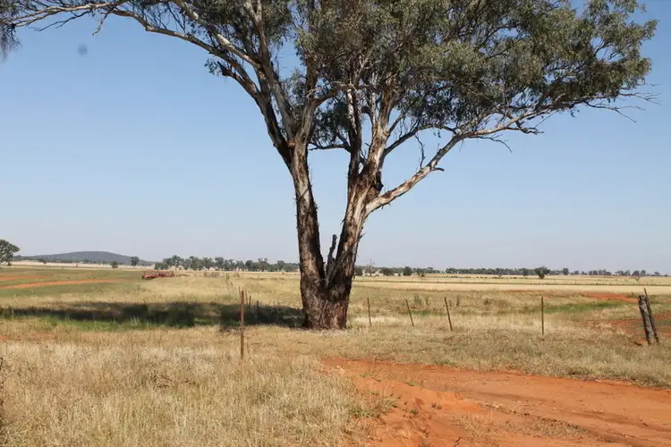 Fifth view of Homely rural property listing, - Wattleflat, Walleroobie NSW 2665