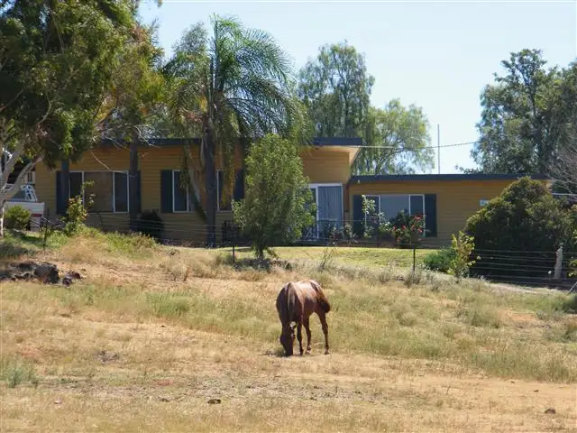Third view of Homely rural property listing, 873 Black Gully Rd, Werris Creek NSW 2341
