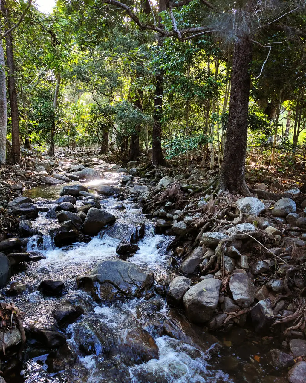 Main view of Homely land listing, 113 Running Creek Road, Sunnyside QLD 4737