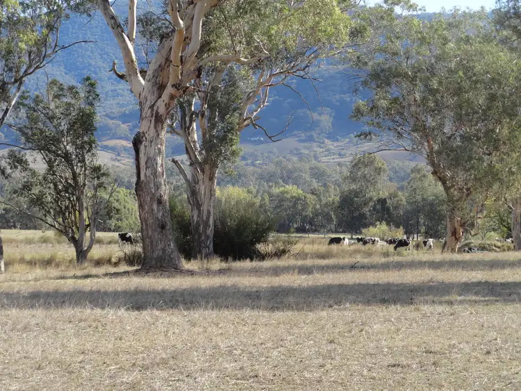 Fourth view of Homely rural property listing, 1817 Gundowring Road, Gundowring VIC 3691