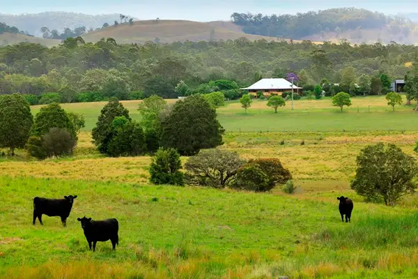 Main view of Homely rural property listing, 49 Maddens Lane, Wards River NSW 2422