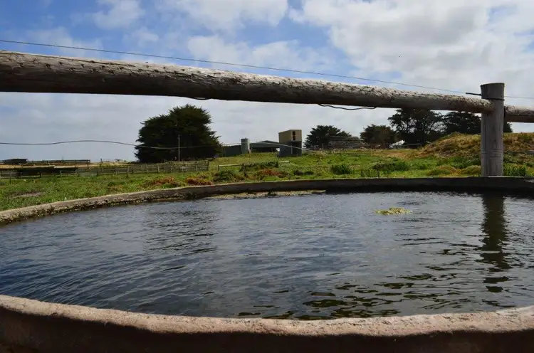 Fourth view of Homely rural property listing, 277 Black Drain Road, Millicent SA 5280