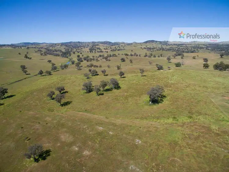 Fourth view of Homely rural property listing, 829 Kaludabah Road, Mudgee NSW 2850