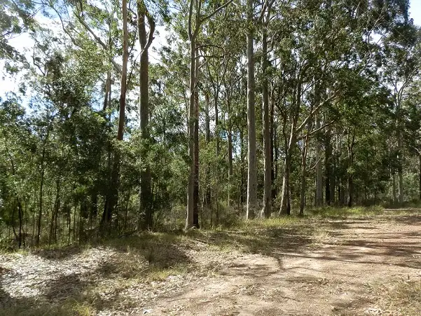 Second view of Homely land listing, Lot 43 Pineforest Road, Tomerong NSW 2540