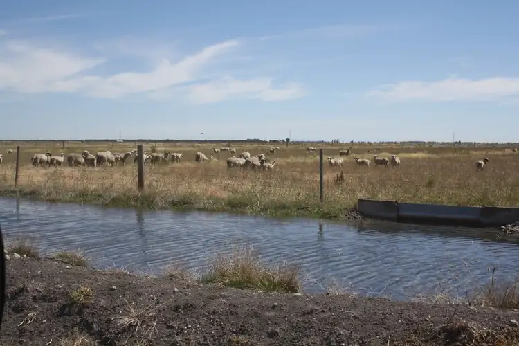 Fifth view of Homely rural property listing, 0 Gum Point, Naracoorte SA 5271