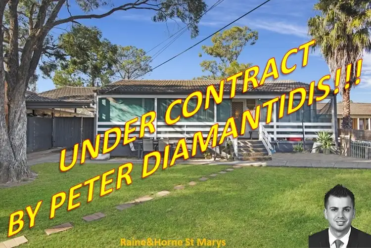 17 Mistral Place, Shalvey NSW 2770