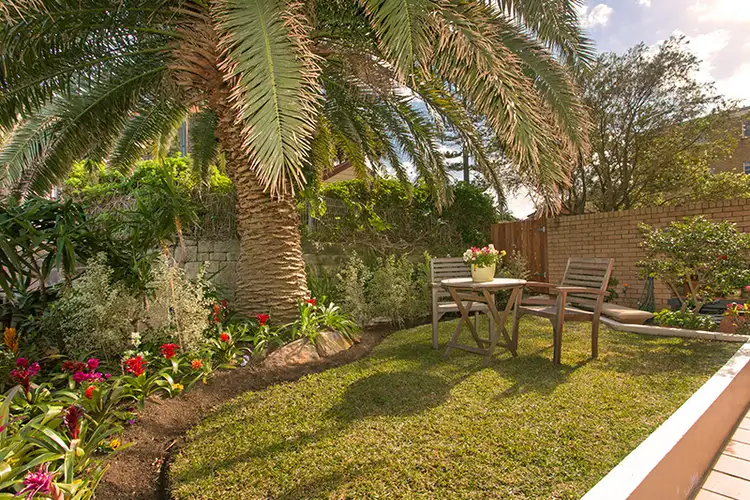 Fifth view of Homely apartment listing, 1/41 Kangaroo Street, Manly NSW 2095