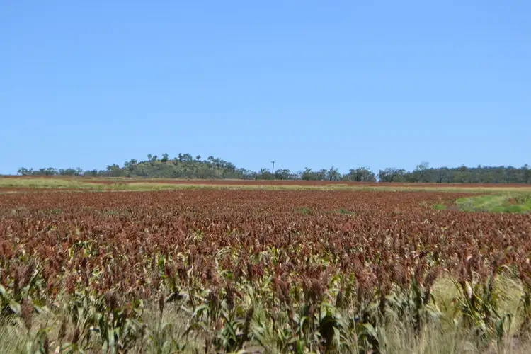 Lot 3 Gordon Smiths Road, Goombungee QLD 4354