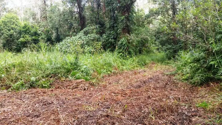 Third view of Homely land listing, 68 Forest Creek Road, Daintree QLD 4873