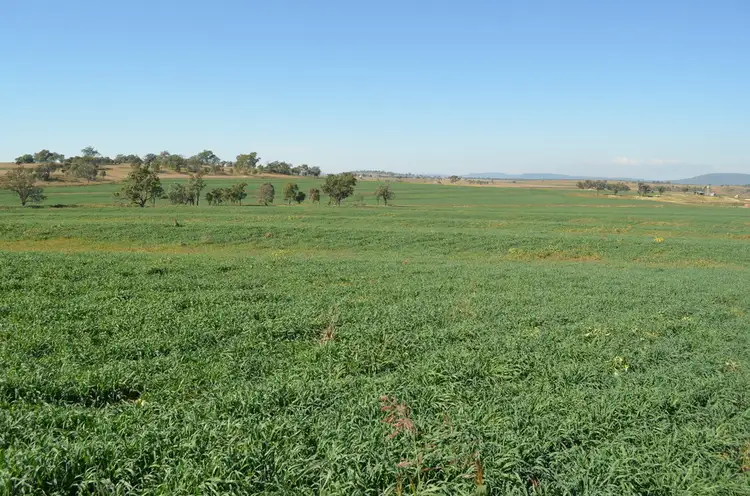 Main view of Homely rural property listing, 766 Umbiram Road, Umbiram QLD 4352