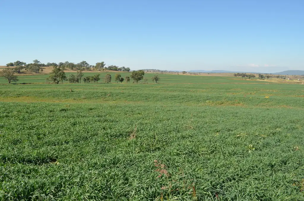 Main view of Homely rural property listing, 766 Umbiram Road, Umbiram QLD 4352