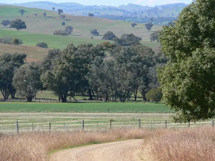 Second view of Homely rural property listing, 506 Binni Creek Road, Cowra NSW 2794