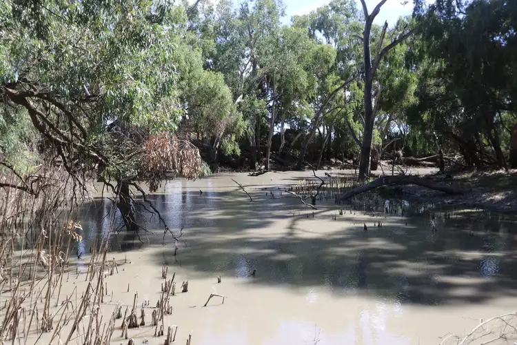 Fifth view of Homely rural property listing, Address available on request