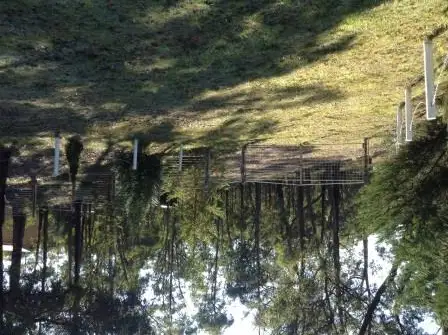 Main view of Homely land listing, Lot 46 Dales Creek Avenue, Dales Creek VIC 3341