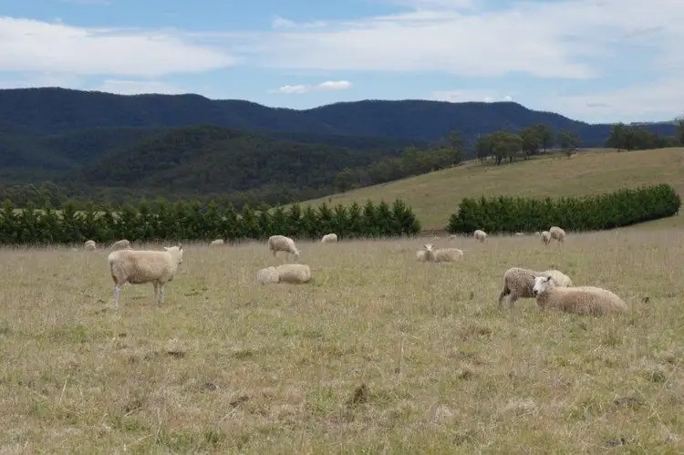 Fourth view of Homely rural property listing, Lot 4 1971 Towrang Rd, Goulburn NSW 2580
