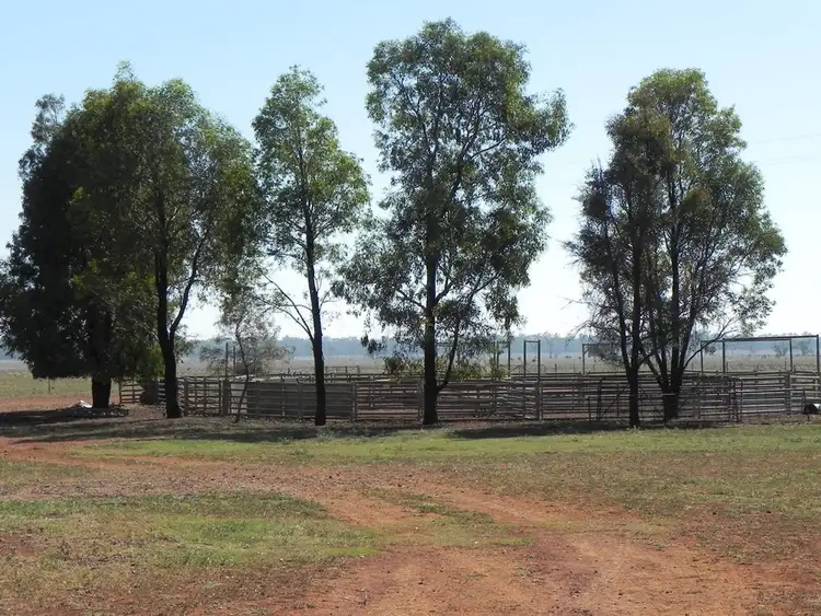 Sixth view of Homely rural property listing, - Glenroy -, Lake Cargelligo NSW 2672