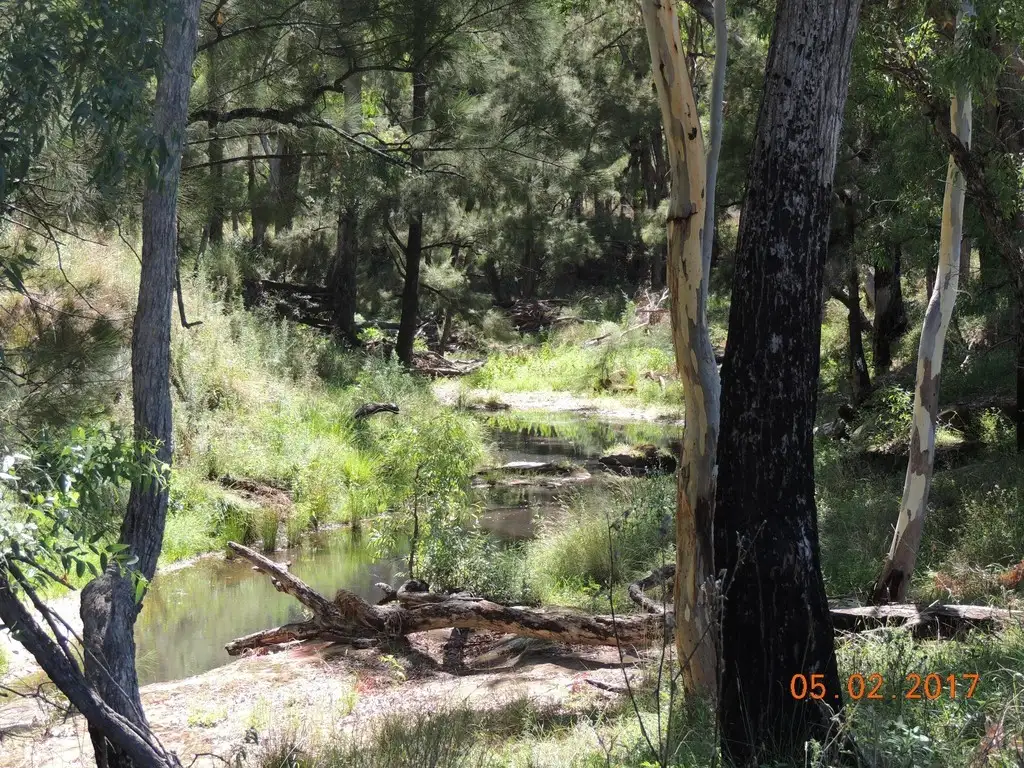 Main view of Homely rural property listing, 928 Timor Road, Coonabarabran NSW 2357