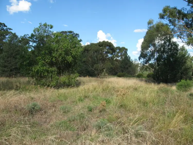 Third view of Homely land listing, Lot 157 Dwyers Road, Alectown NSW 2870