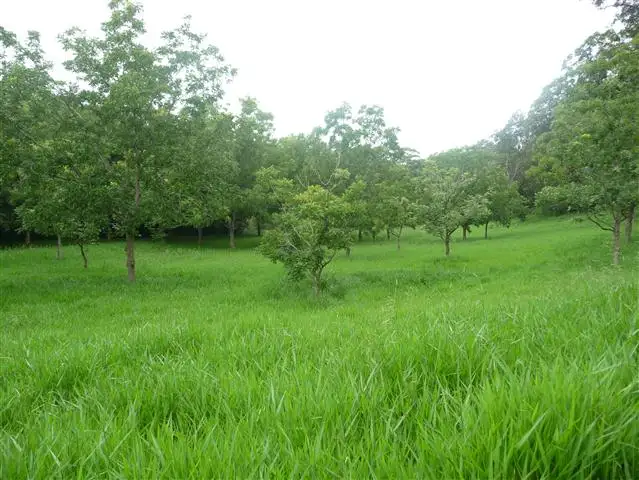 Third view of Homely land listing, 391 Dr Pages Road, Kin Kin QLD 4571