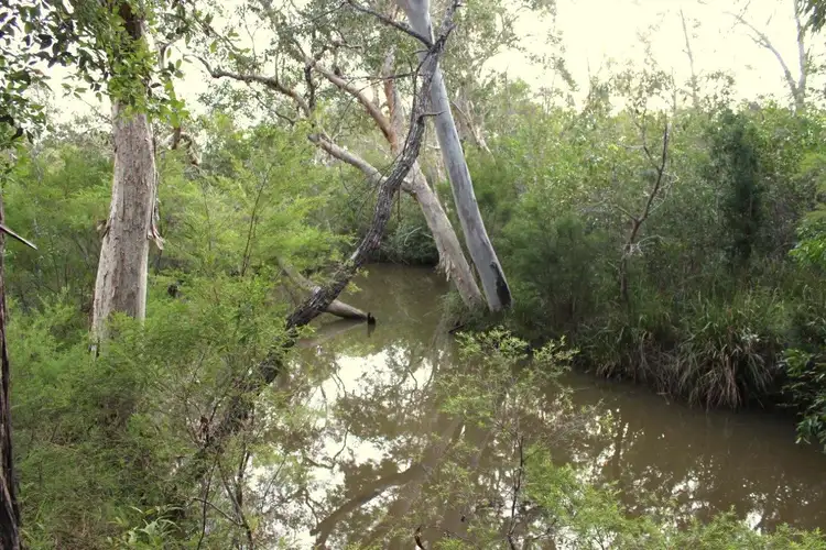 Second view of Homely land listing, Lot 140 Murphy Road, Captain Creek QLD 4677