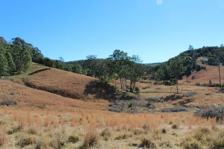 Second view of Homely rural property listing, 207 Tilbaroo Road, Elands NSW 2429