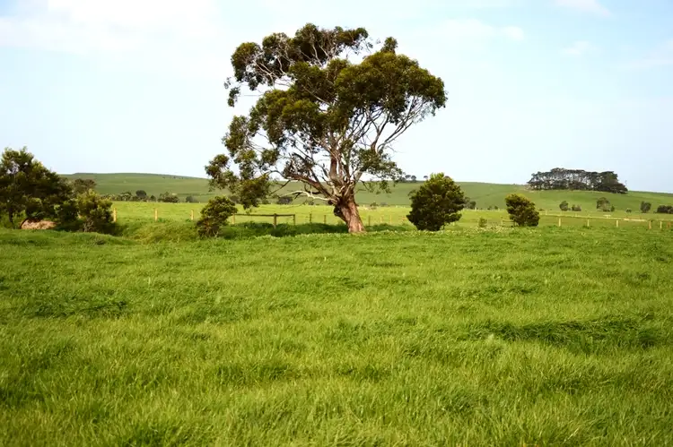 Seventh view of Homely rural property listing, 00 Miles Road, Wonthaggi VIC 3995