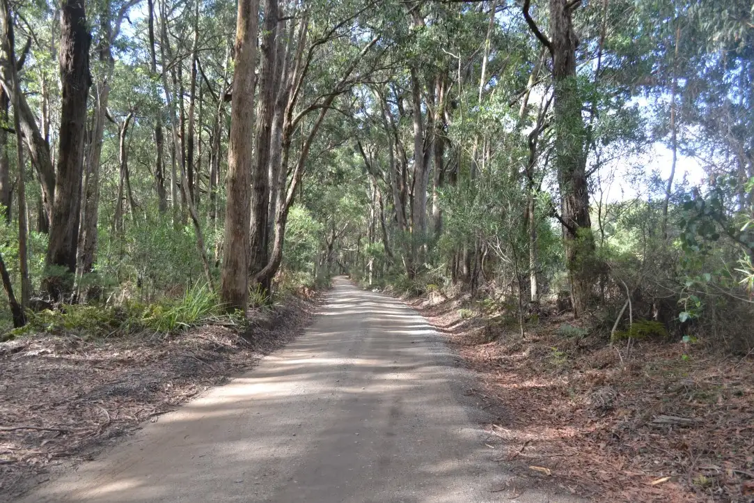 Main view of Homely rural property listing, 1036 Meryla Rd, Meryla NSW 2577