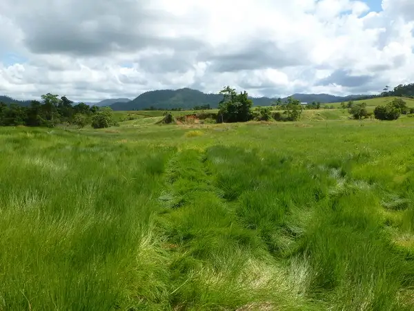 Third view of Homely rural property listing, Address available on request