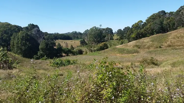 Fifth view of Homely rural property listing, 1727 Reserve Creek Road, Cudgera Creek NSW 2484