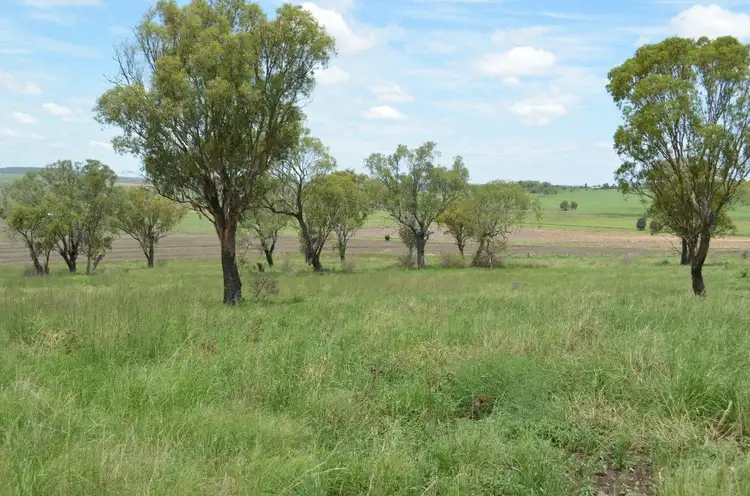 Fifth view of Homely rural property listing, 1859 Pittsworth-Felton Road, Felton QLD 4358