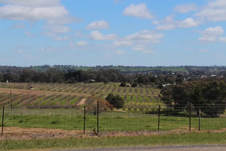 Third view of Homely land listing, 151 Chums Lane, Young NSW 2594