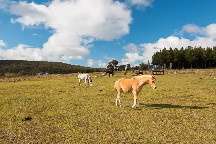 Fifth view of Homely rural property listing, 107 Old Station Creek Rd, Taralga NSW 2580