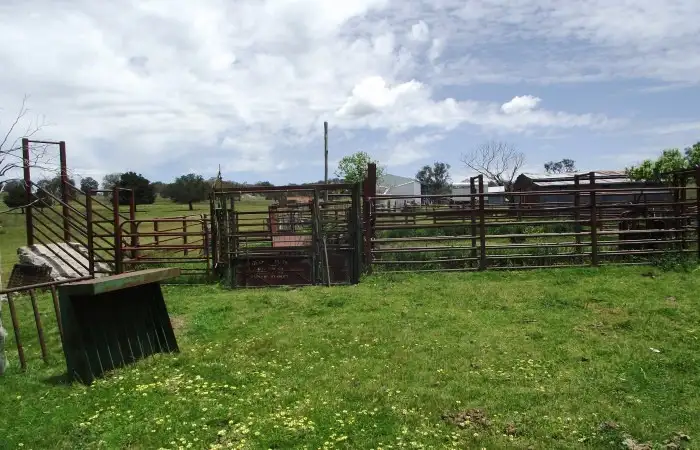 Third view of Homely rural property listing, "Dalveen" New England Highway, Bendemeer NSW 2355