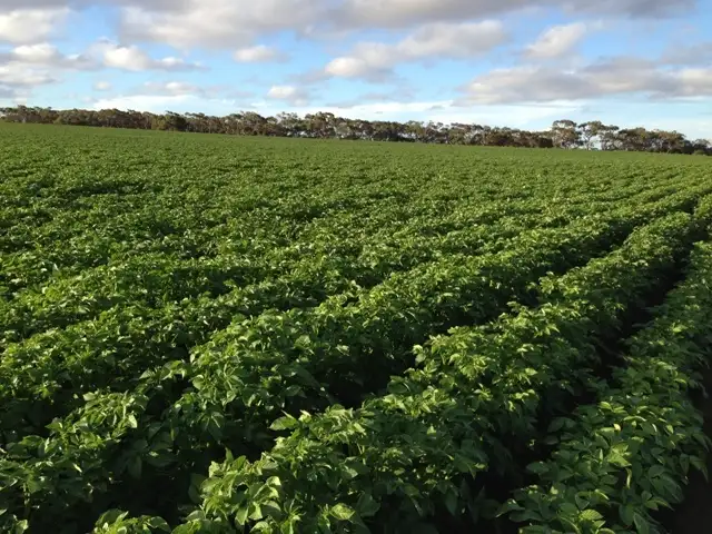 Sec 14 East West One Hwy, Parndana SA 5220